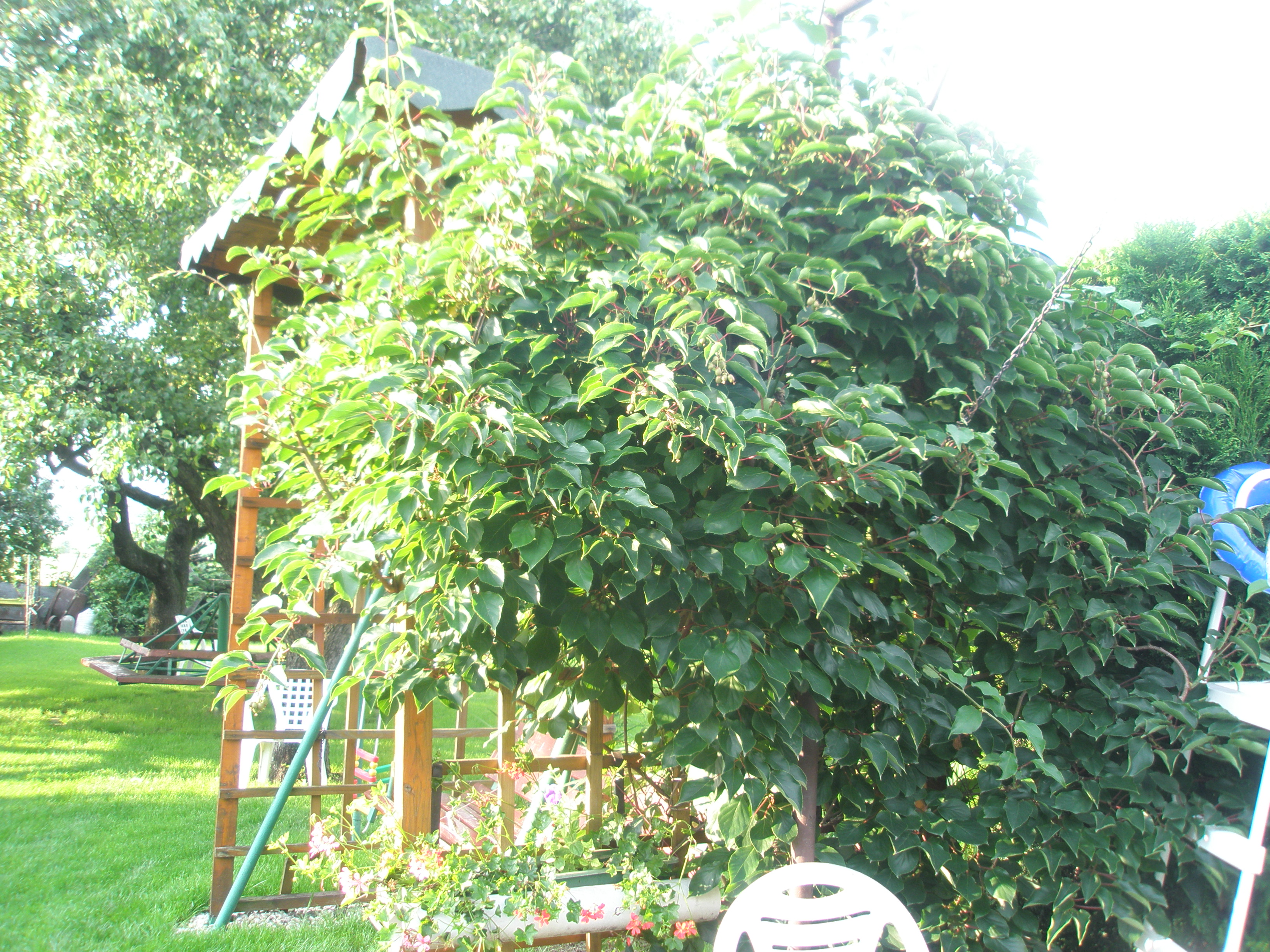 P7014504.JPG